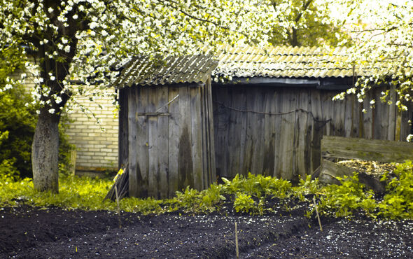 Mag je een tuinhuis of bijgebouw plaatsen zonder vergunning?