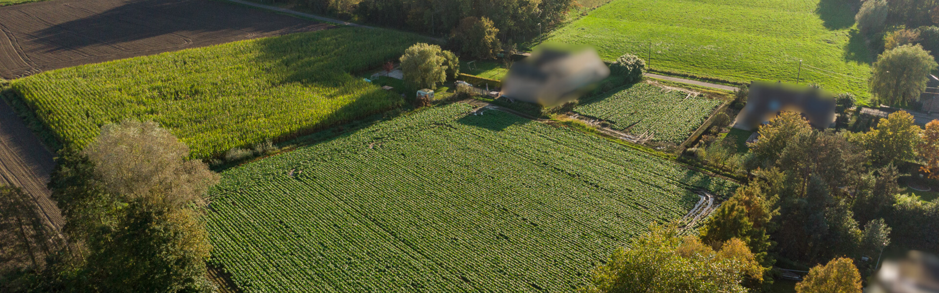 Bouwgrond te koop in Waasmunster