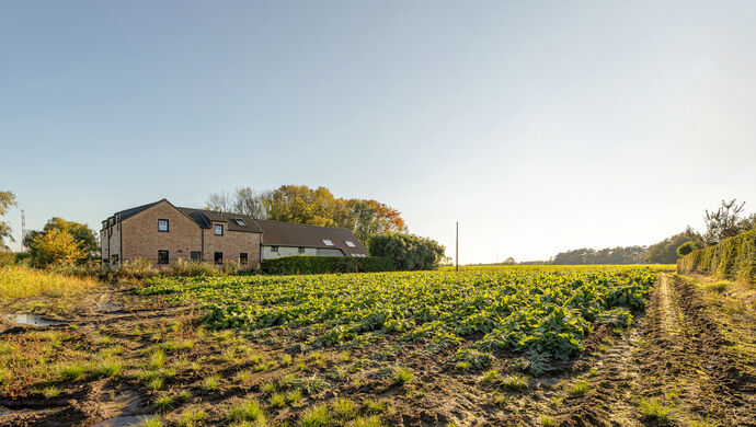 Bouwgrond te koop in Waasmunster