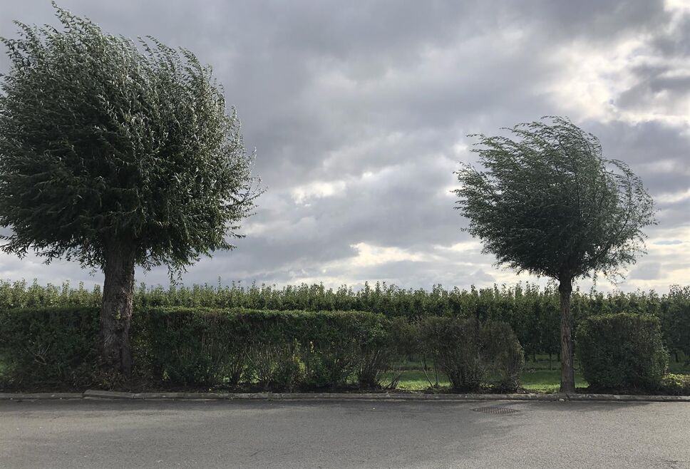 Met veel plezier stellen wij u deze mooie bouwgrond voor van 5a33ca in een rustige en kindvriendelijke wijk in Kieldrecht. Op deze bouwgrond heeft u de mogelijkheid om een halfopen bebouwing te bouwen bestaande uit twee woonlagen. Kroonlijsthoogte van max